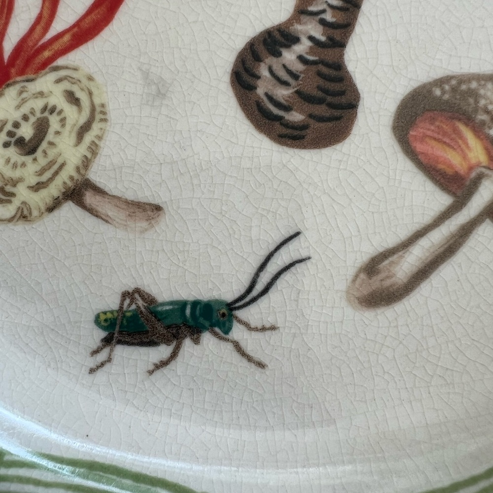 Anthropologie Mushrooms Cricket Dinner Plate rare discontinued nathalie ete euc - Picture 2 of 6